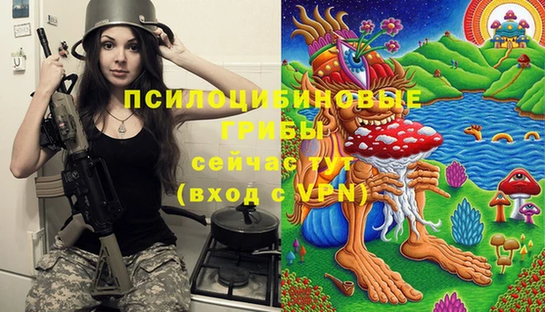 метамфетамин Каменногорск